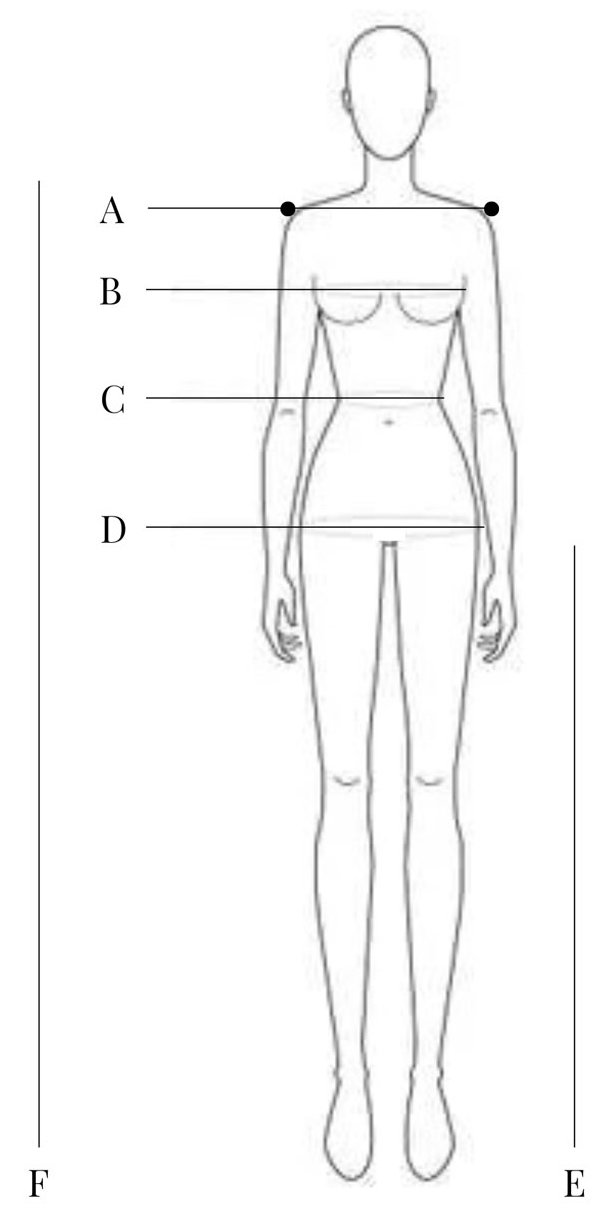 Infographic on body sizes